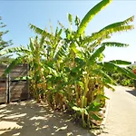 Apartament Flor Da Laranja, By Algarveblossom *