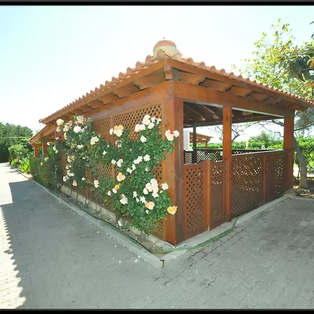 Flor Da Laranja, By Algarveblossom Appartement