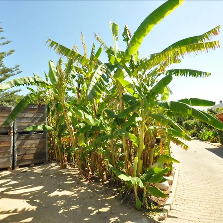 Appartement Flor Da Laranja, By Algarveblossom *