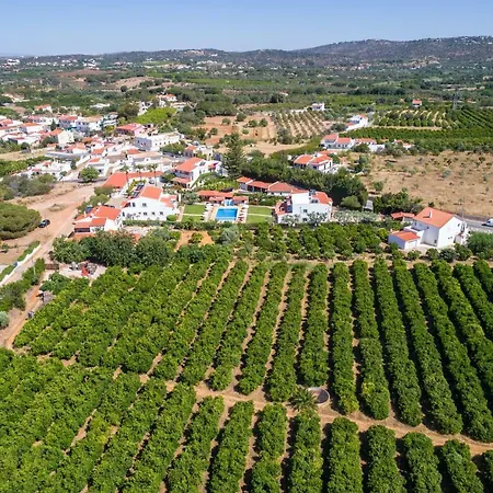 Flor Da Laranja, By Algarveblossom *