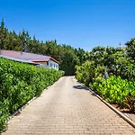 Lejlighed Flor Da Laranja, By Algarveblossom Albufeira