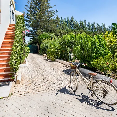 Flor Da Laranja, By Algarveblossom * 阿尔布费拉