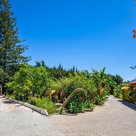 Flor Da Laranja, By Algarveblossom Apartment