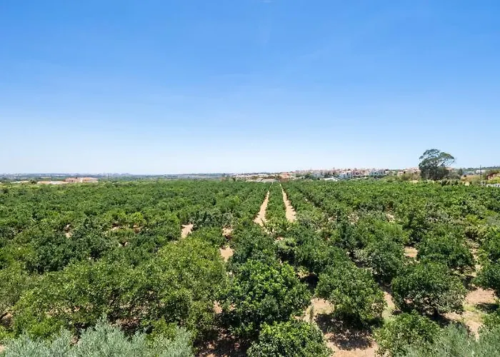 Flor Da Laranja, By Algarveblossom דירה אלבופיירה