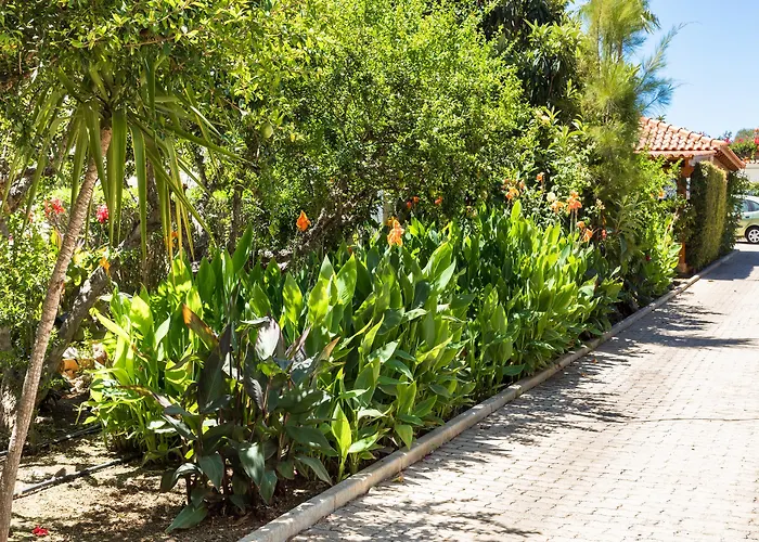 Flor Da Laranja, By Algarveblossom *