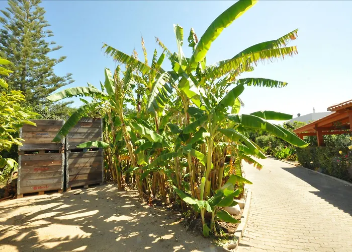 דירה Flor Da Laranja, By Algarveblossom *