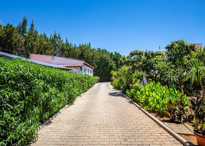 דירה Flor Da Laranja, By Algarveblossom אלבופיירה