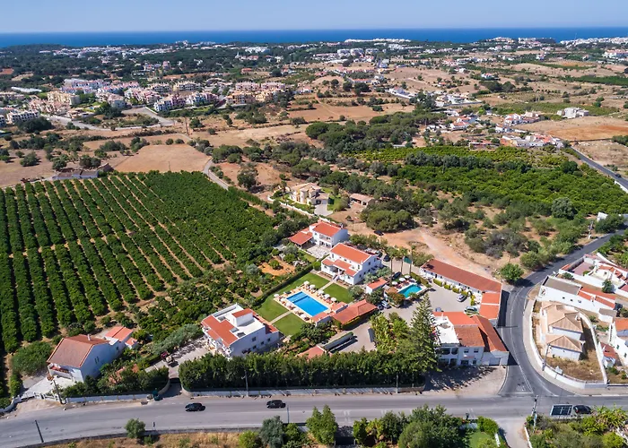 Flor Da Laranja, By Algarveblossom אלבופיירה