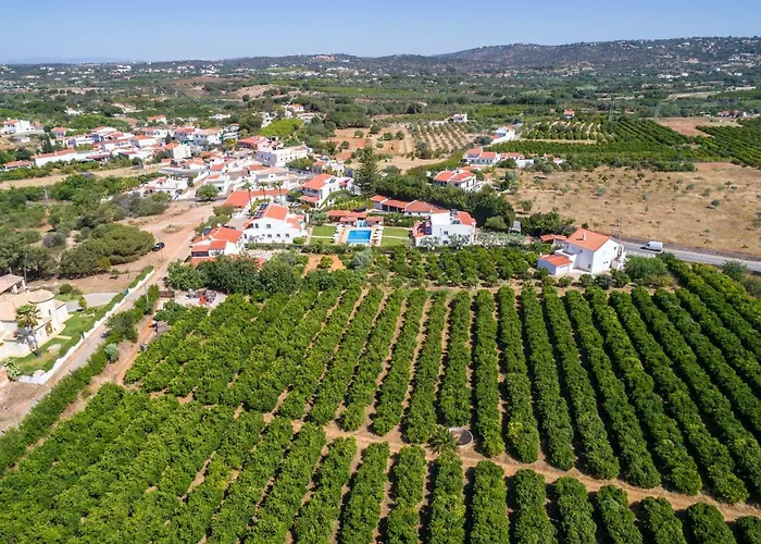 Flor Da Laranja, By Algarveblossom *